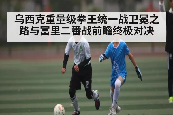 乌西克重量级拳王统一战卫冕之路与富里二番战前瞻终极对决